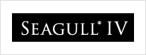 SEAGULL4